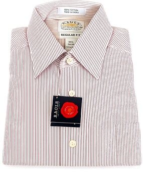 Eagle Shirtmakers NWT Pinstripe Non Iron Button up Shirt